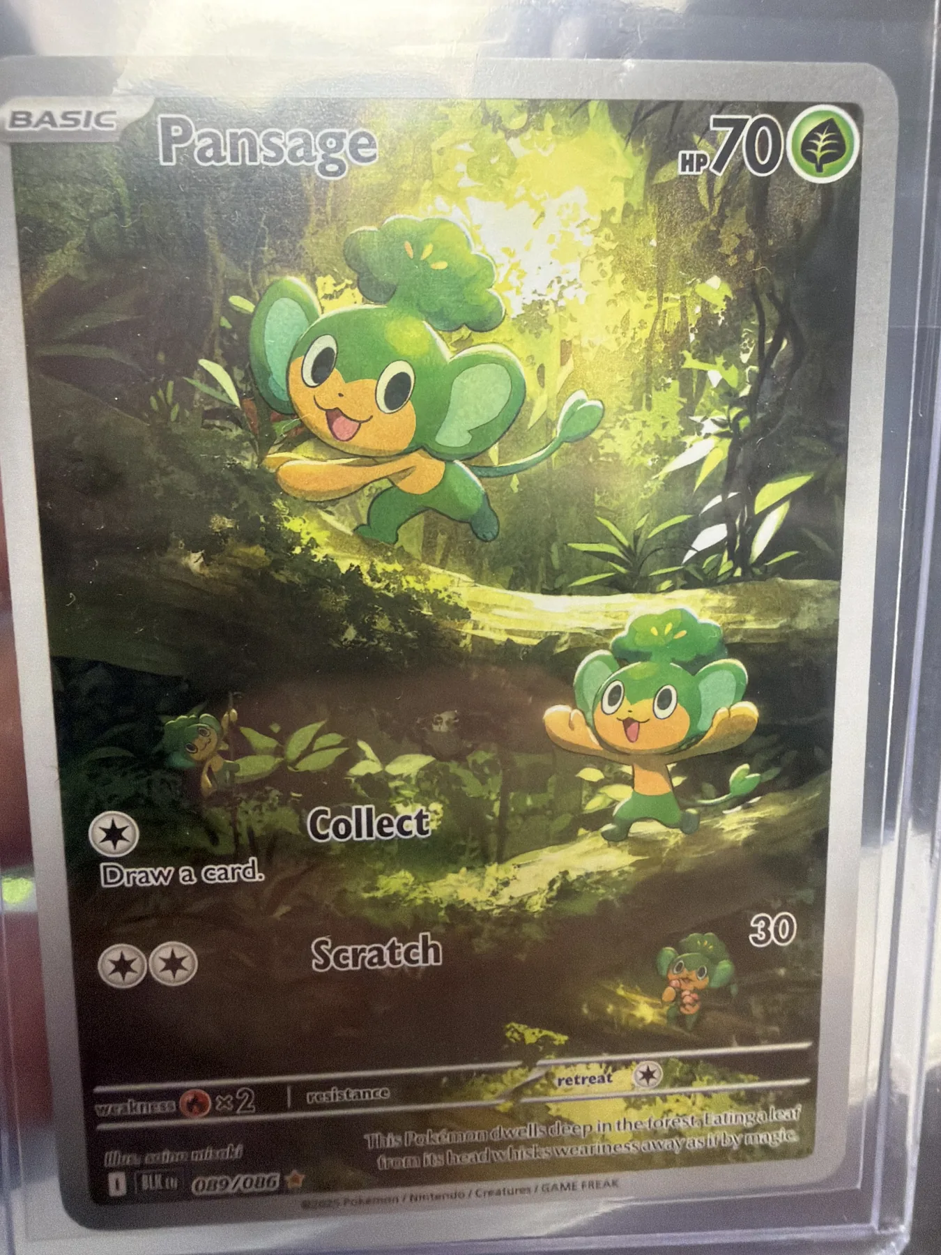 Pansage Illustration Rare Pokemon TCG card